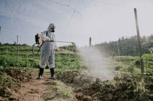Best Pest Removal Services  in Smith Mills, MA