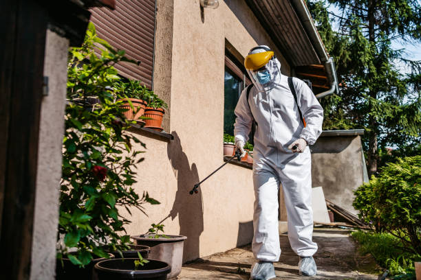 Best Local Pest Control Services  in Smith Mills, MA